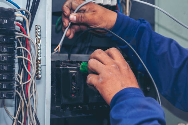 Best Electric Panel Repair  in Oakland, MD